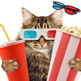 Black Frame Red Blue Cyan Anaglyph 3D Glasses Universal